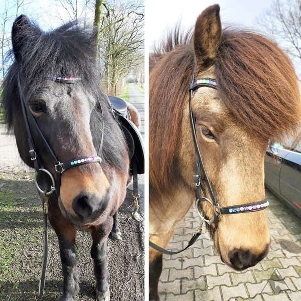 Nordic-Horse, Kopfstück „Regenbogenfarben“