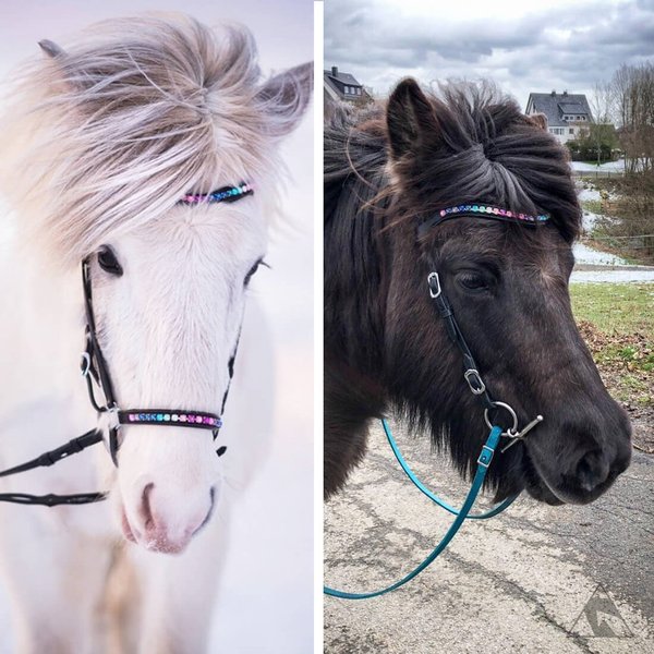Nordic-Horse, Kopfstück „Regenbogenfarben“